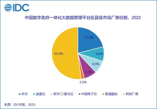 2022年中国IDC数字政府大数据及数据治理市场 数据处理环节份额解析